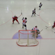 Illustration for article titled Photos: The North Korean Hockey Team